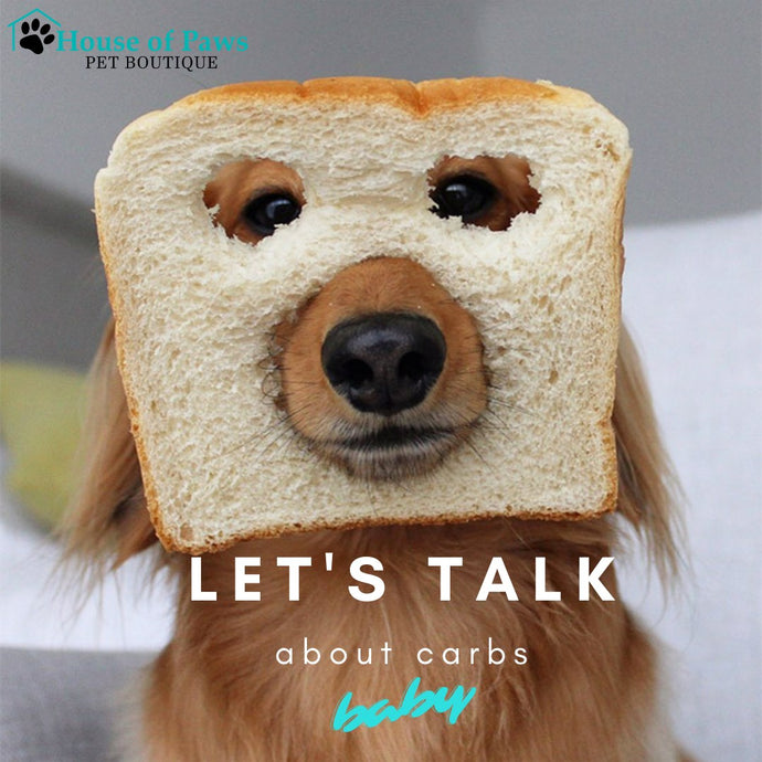 are carbs good for dogs