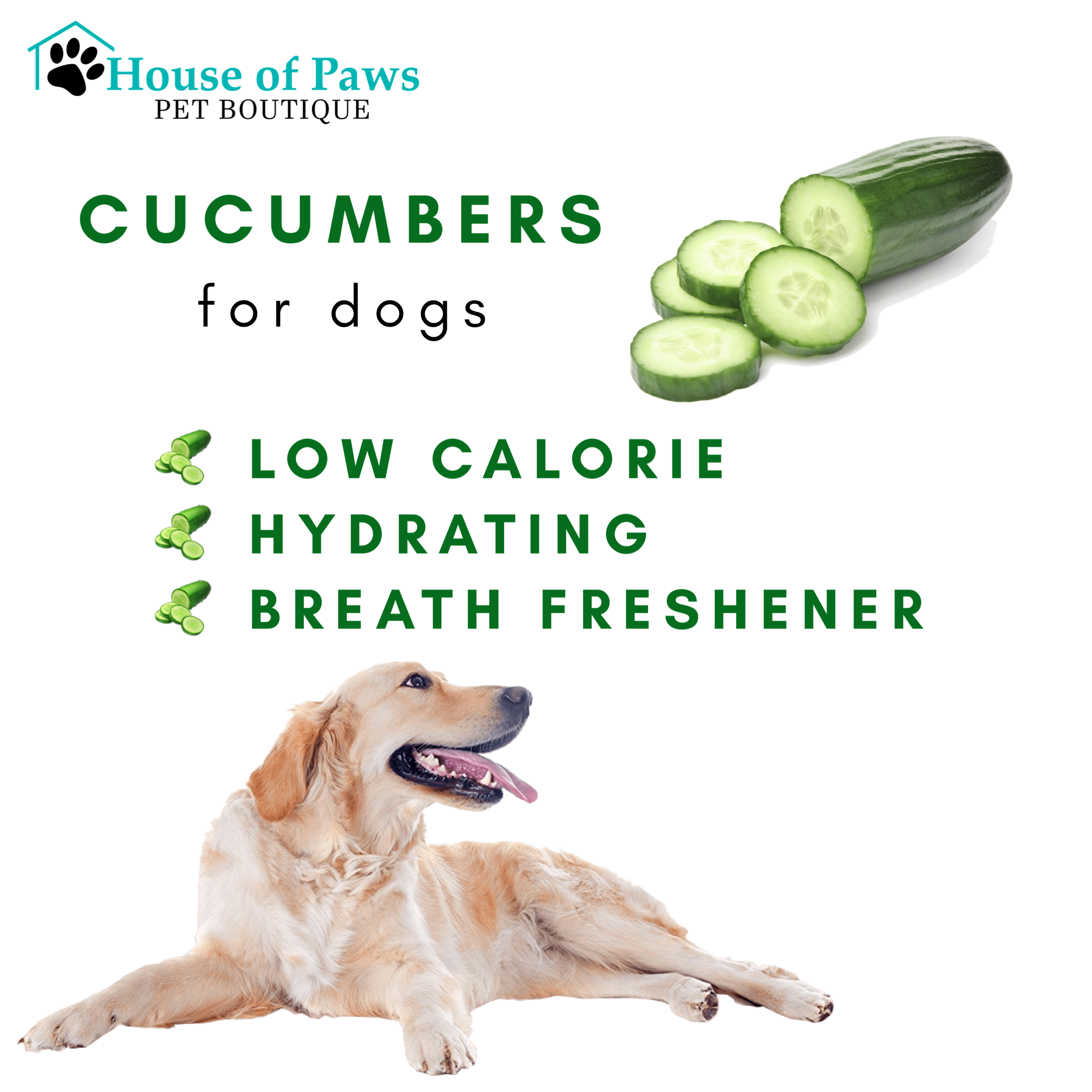 are cucumber peels safe for dogs