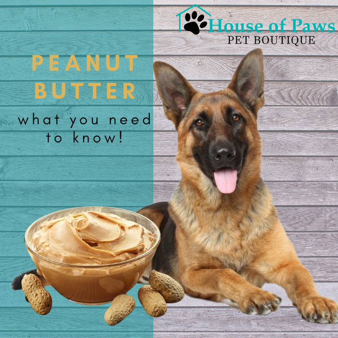 can my german shepherd eat peanut butter