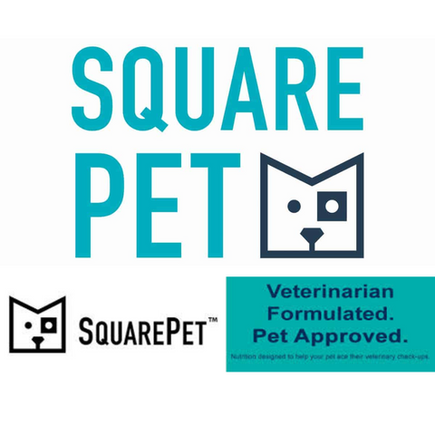 sqaurepet food for pets