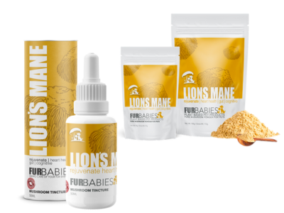 Lion's Main Mushrooms - for brain support and older dogs