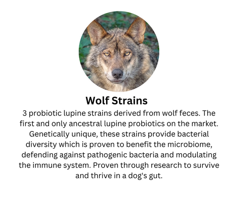 first and only ancestral, species-appropriate probiotic derived from wolves