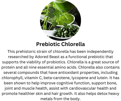 functional prebiotic that supports the viability of probiotics