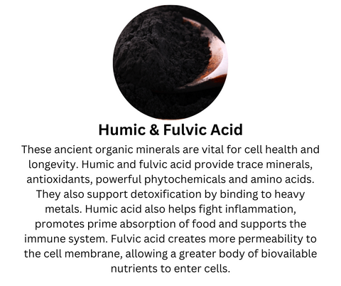 Humic and fulvic acid provide trace minerals, antioxidants, powerful phytochemicals and amino acids