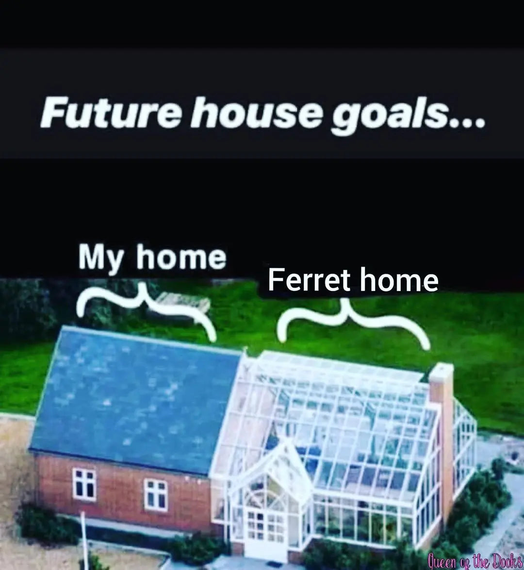 Future house goals