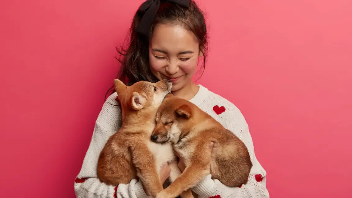 Animal Mother