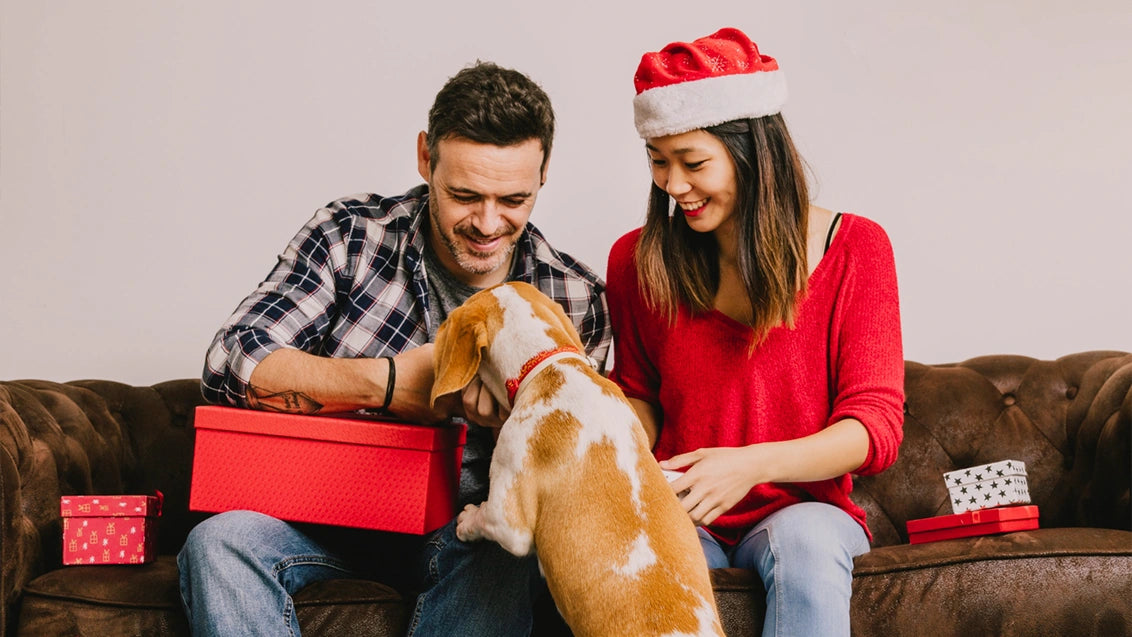 Pet Parents Christmas Boxes for Gifts