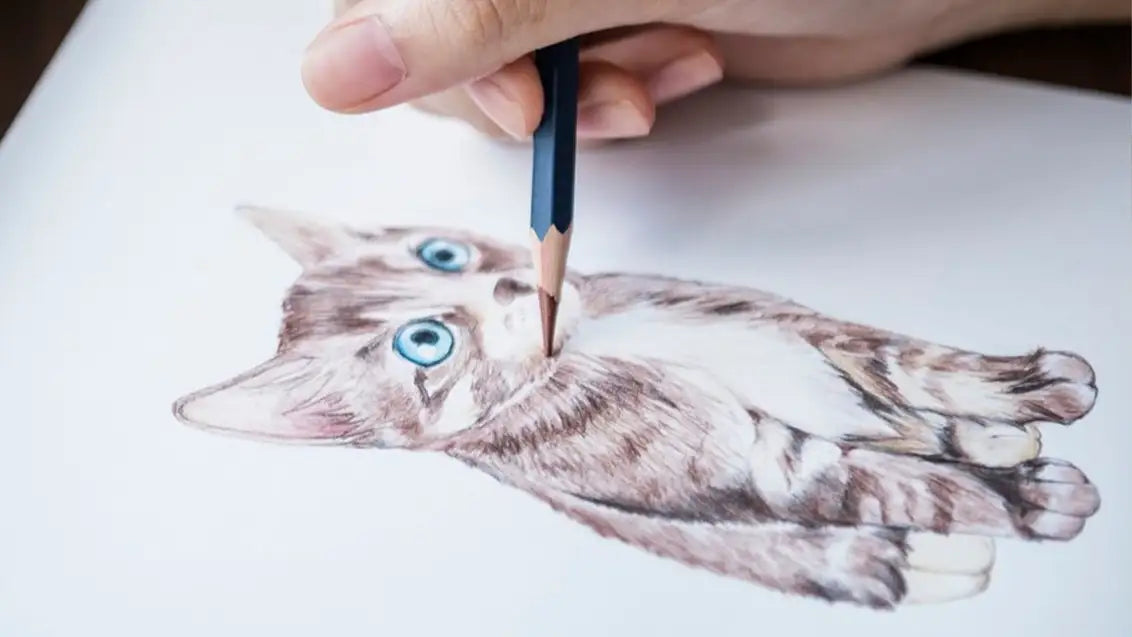 Sketching cat painting easy