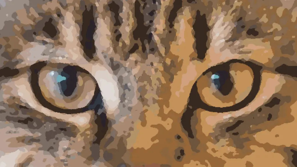 eyes in portraits of cats