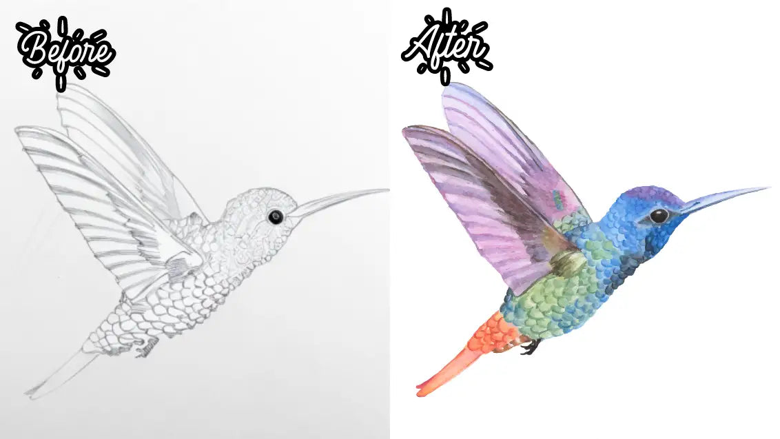 how to paint a hummingbird