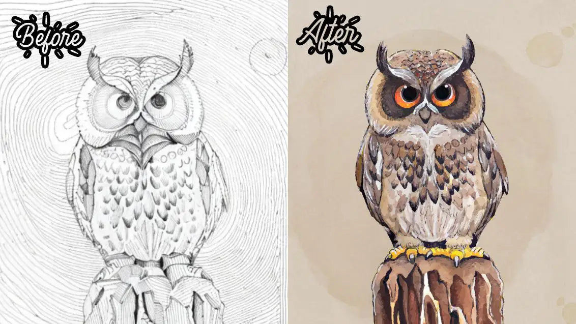 how to paint an owl