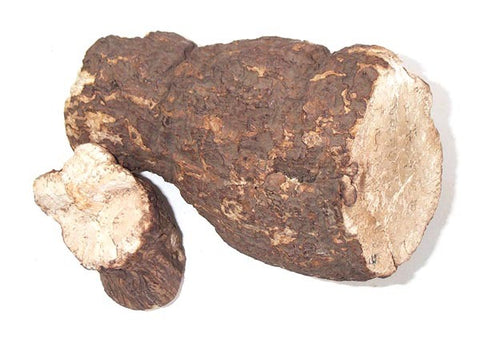 Poria Cocos Extract