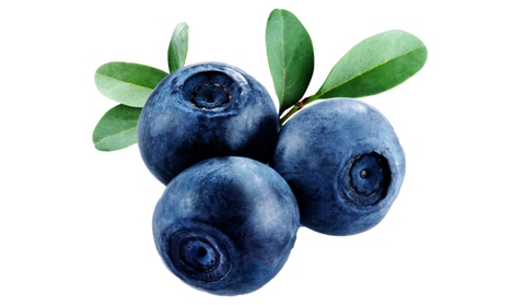 bilberry