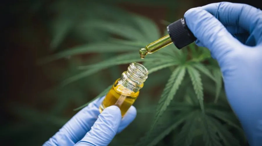 cbd-oil-test-e1643971753540.webp__PID:12b1fbf7-37cc-47e4-ba98-734d0b29c79a