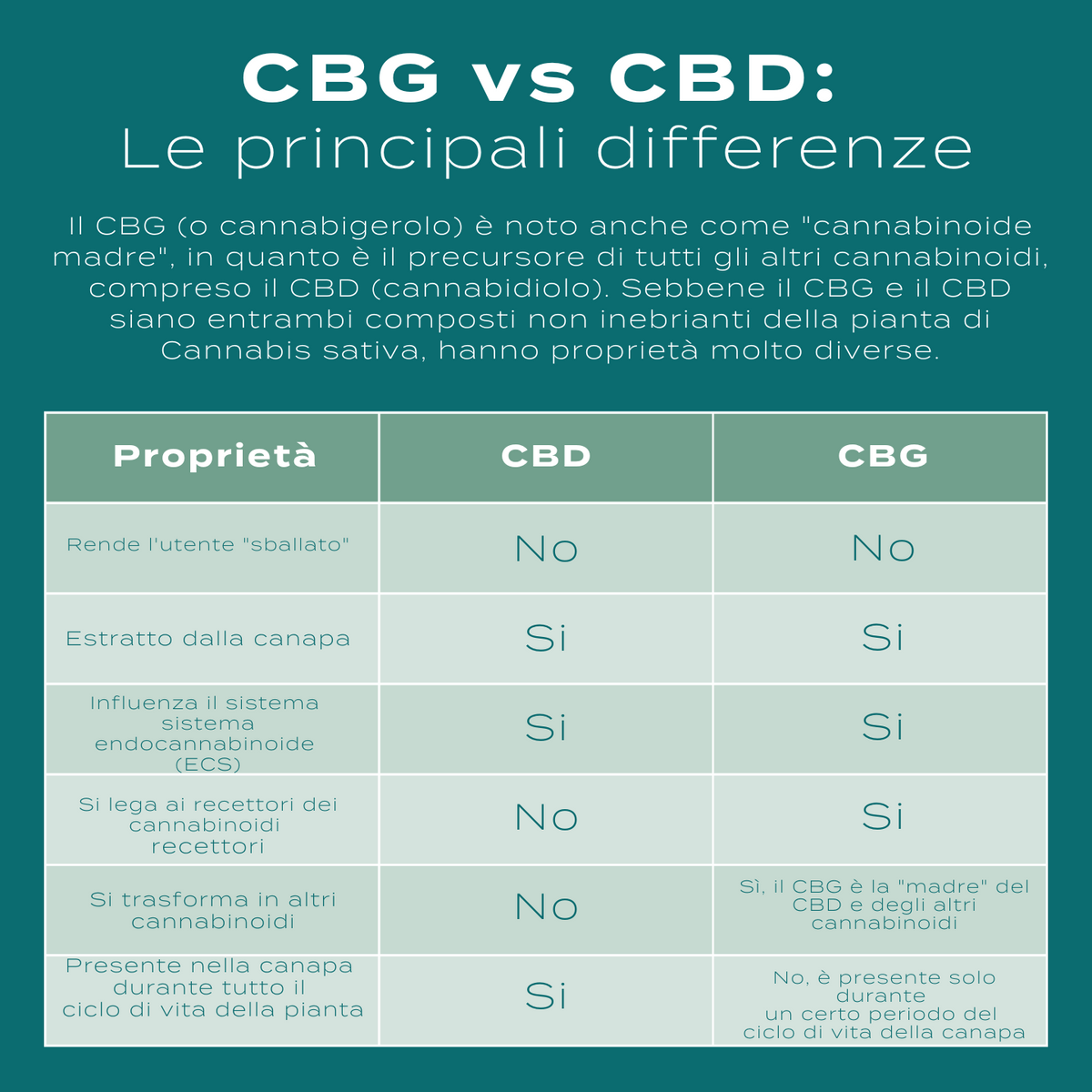 CBG vs CBD Naturecan