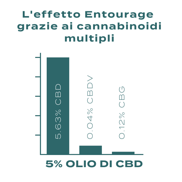 effetto entourage