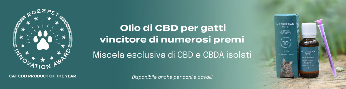 CBD per gatti