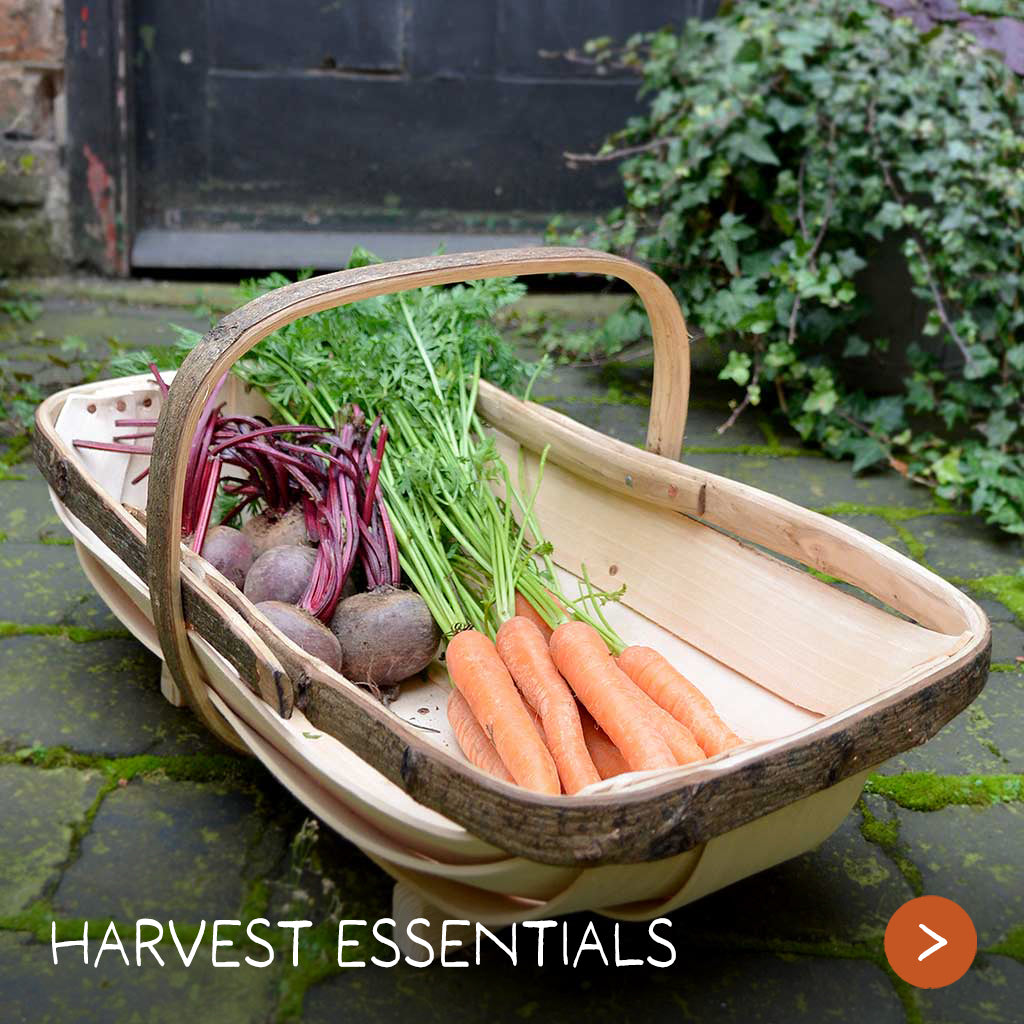 Harvest Essentials