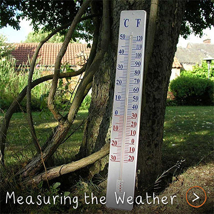 The Basics About Using a Wireless Thermometer in Your Garden Greenhouse -  The Rusted Garden 2013 