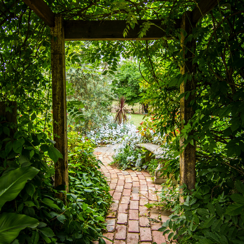 A green garden with a path leading into the distance