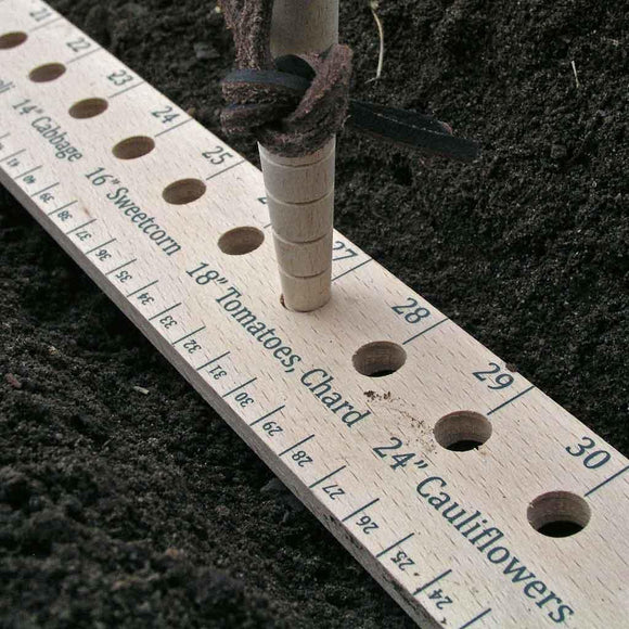 Buy Seed and Plant Spacing Ruler & Dibblet Set — The Worm that
