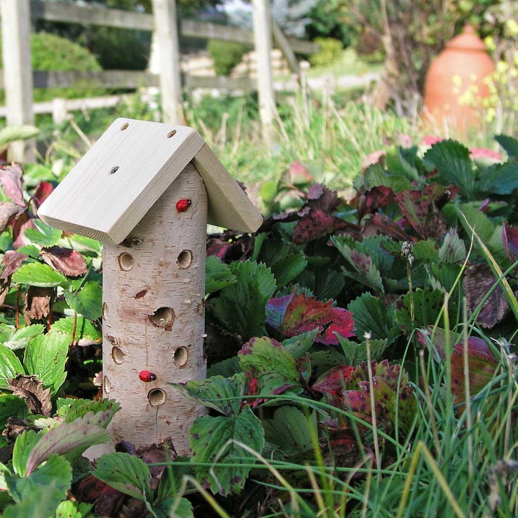 A short wooden tower with holes around the outside.