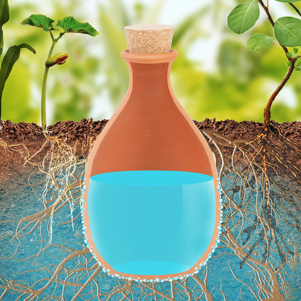 Olla Terracotta Irrigation Pot