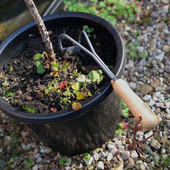 Buy Miracle Block Paving Brush and Weeder — The Worm that Turned