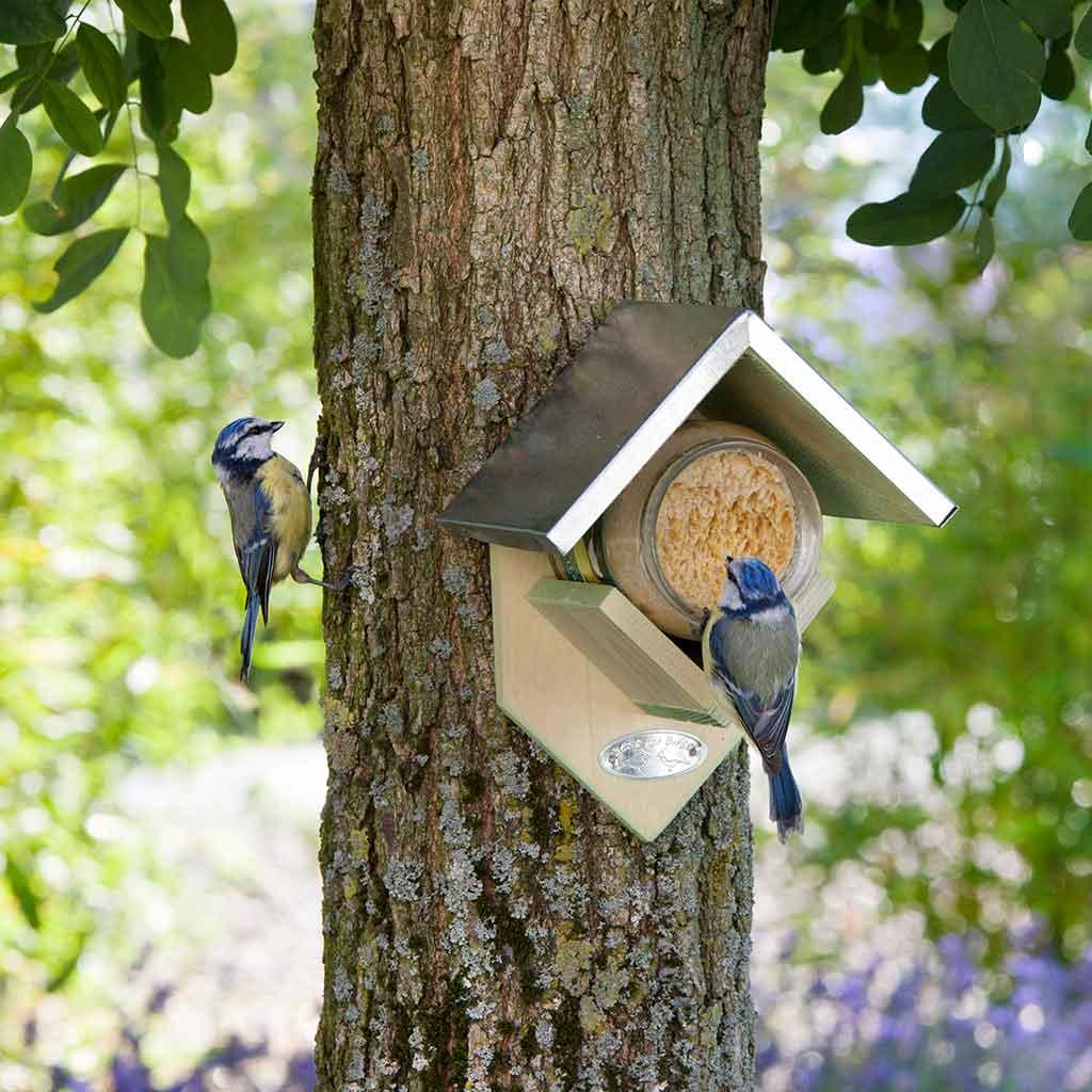 A bird feeding station with three different bird peanut butters.