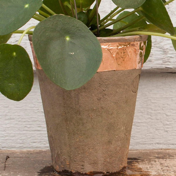 Copper tape around a plant pot