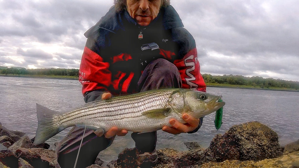 Long casting lures are essential for fishing in the Cape Cod Canal