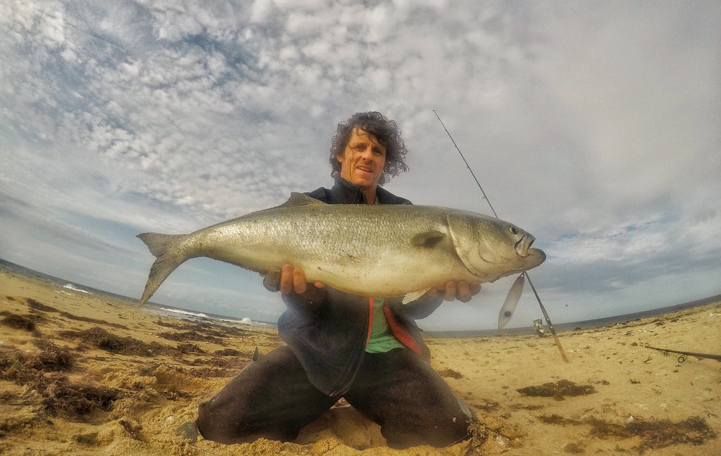 Samson Enticer Minnows are great lures for bluefish