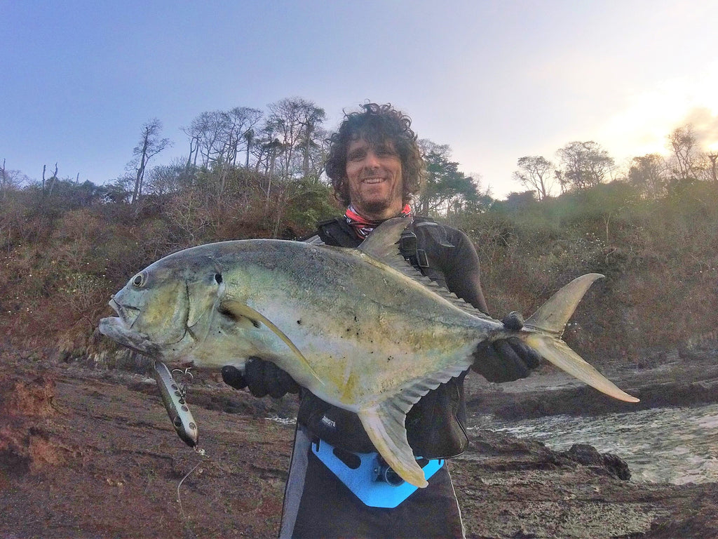 Samson Enticer Sub Surface Tweak Baits are excellent lures for jack crevalle