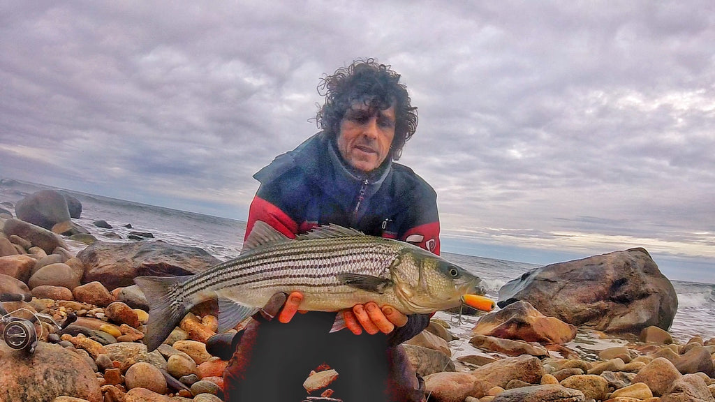 Grant Woodgate with a striped bass caught on a Samson Enticer Sub Surface Tweak Bait - great lures for stripers