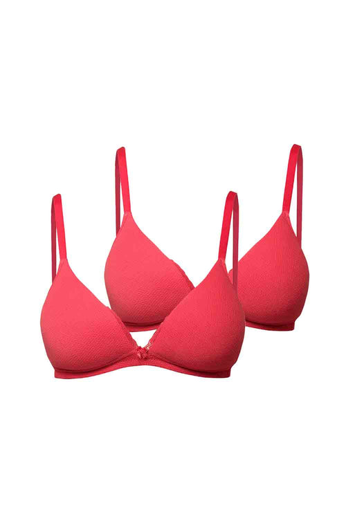 Organic Cotton  Antimicrobial Lace touch T-shirt Bra(Pack of 3)-ISB042-B.Pink_B.Pink_B.Pink-