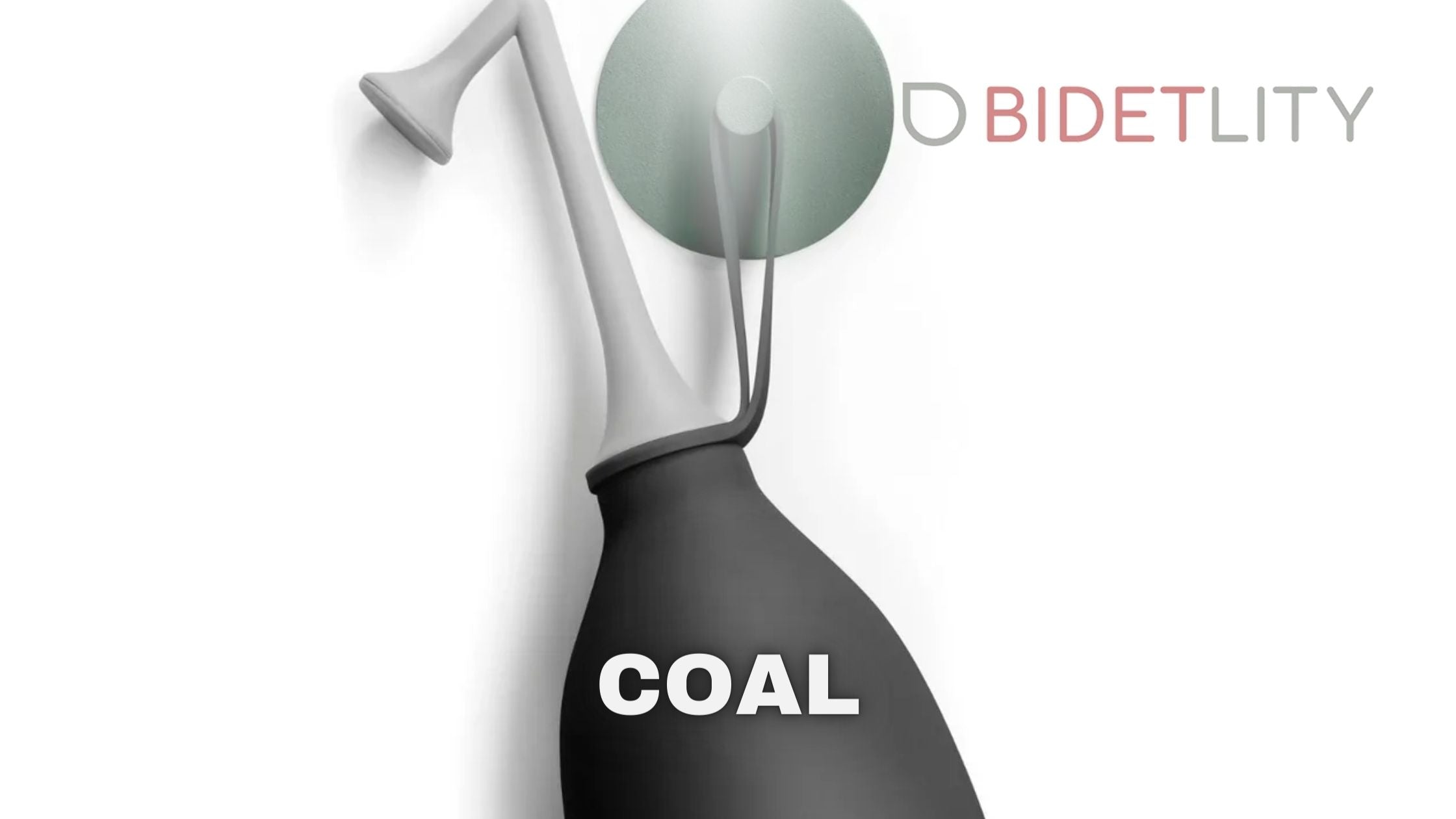 Bidetlity Mobile bidet butt shower coal