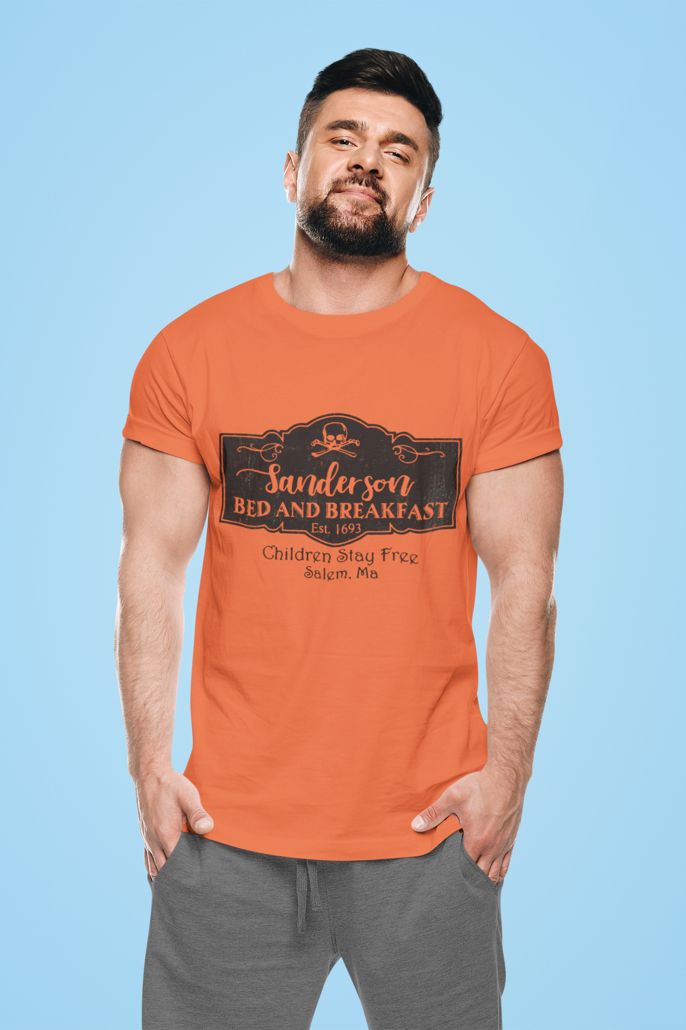 Hocus Pocus T Shirt, Sanderson Bed And Breakfast Tshirt, Halloween Gifts