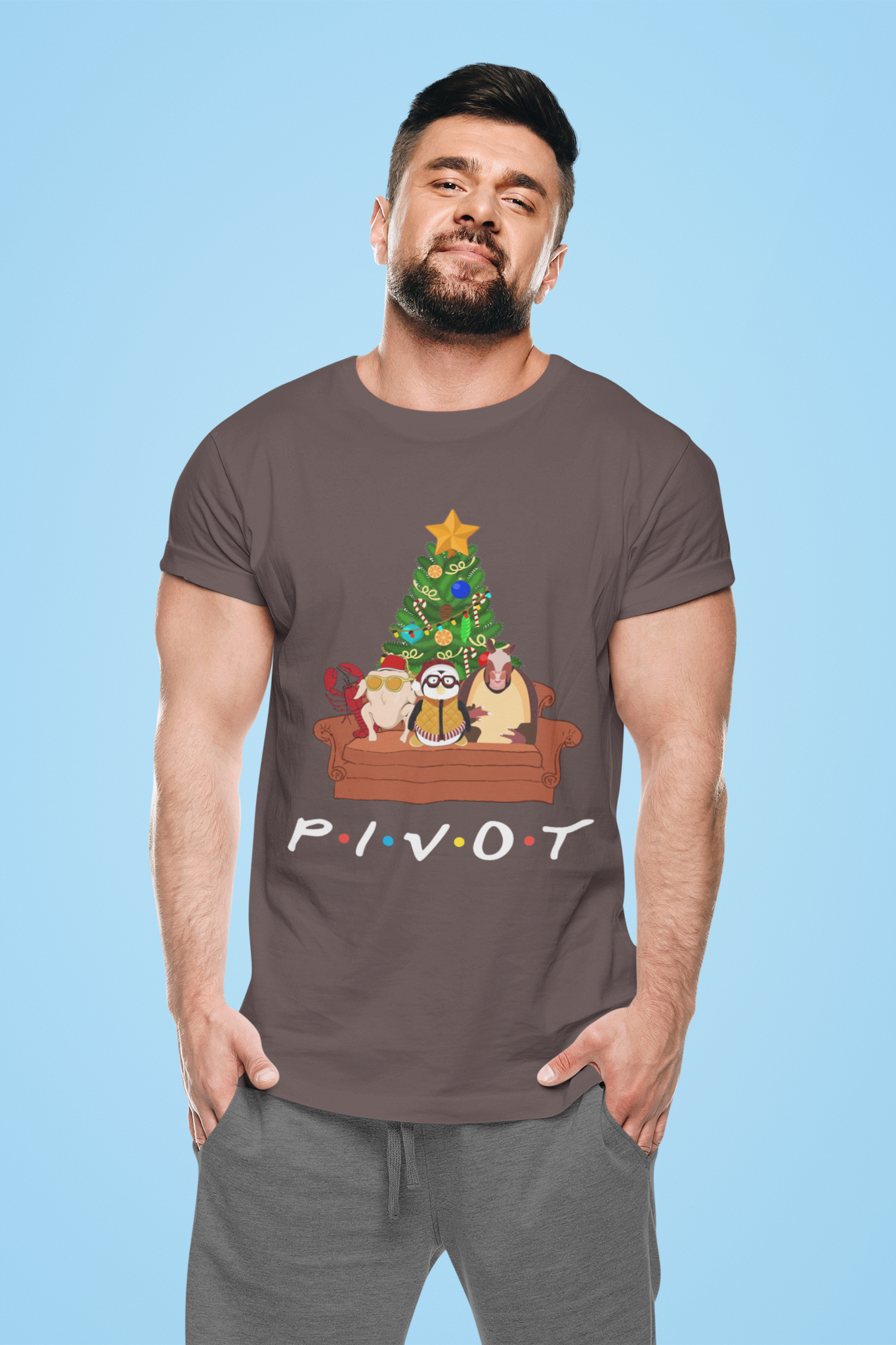 Friends TV Show T Shirt, Friends Costumes T Shirt, Pivot Tshirt, Christmas Gifts