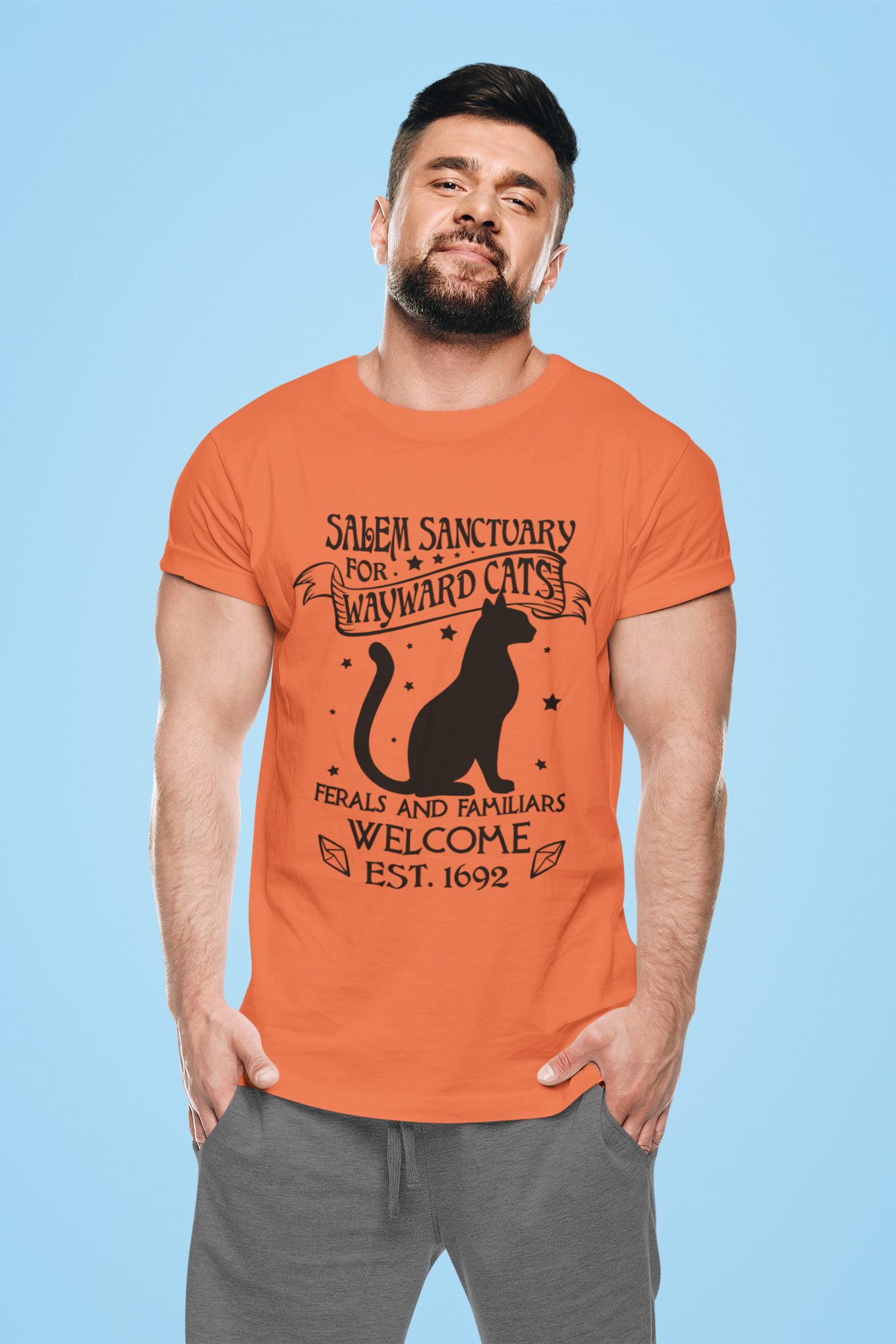 Hocus Pocus T Shirt, Salem Sanctuary For Wayward Cats Shirt, Thackery Binx Tshirt, Halloween Gifts