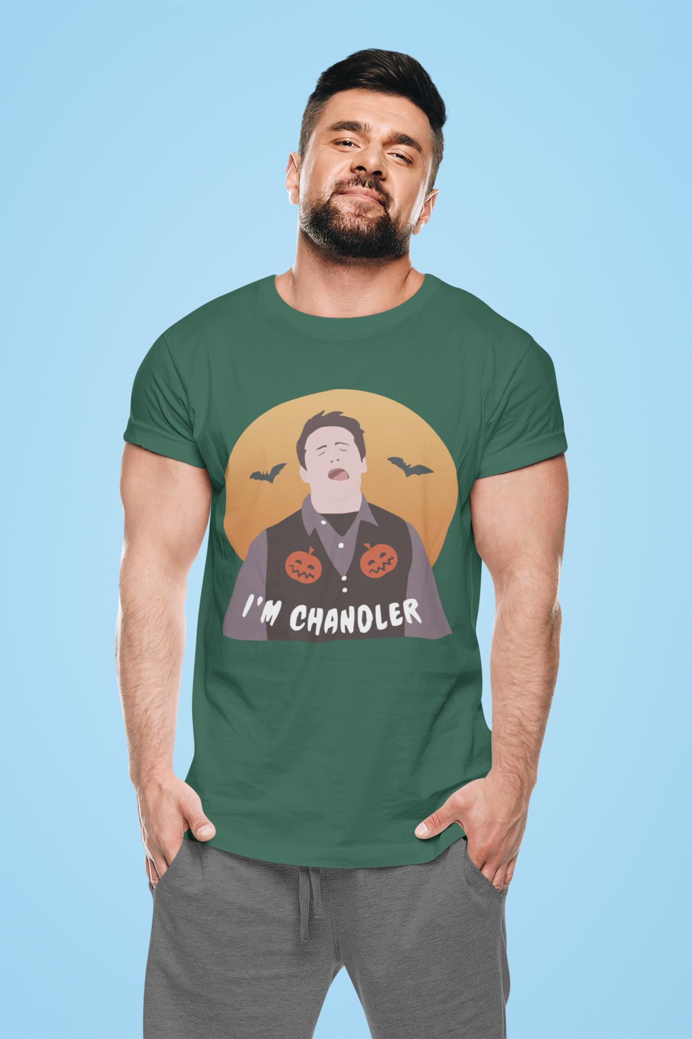Friends TV Show T Shirt, Chandler T Shirt, Im Chandler Tshirt, Halloween Gifts