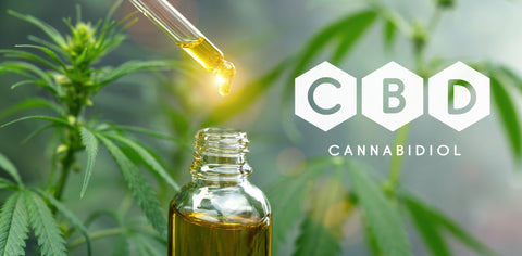 Cannabis leaves and CBD oil