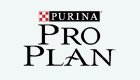 Pro Plan