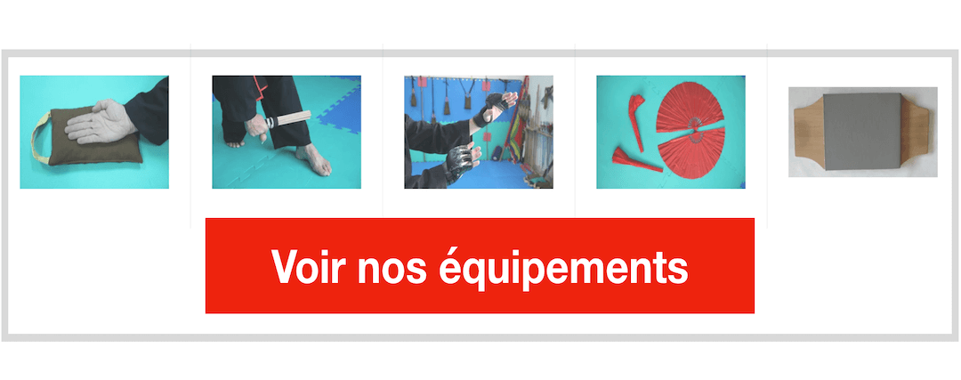 Équipement de boxe pour la pratiaue des Arts Martiaux et des sports de combat : Viet Vo Dao et Self Défense