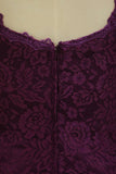 2021 Plus Size Off The Shoulder Lace Evening Dresses Sheath/Column With Applique Grape