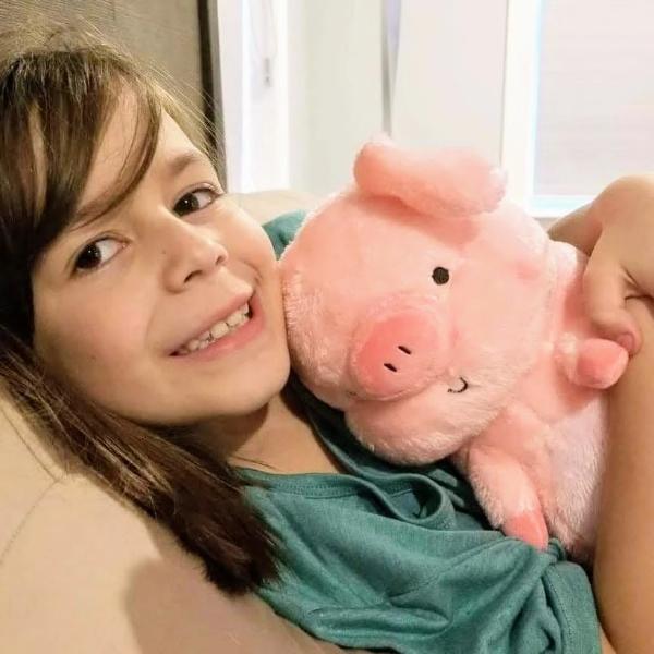 cute stuffed pig