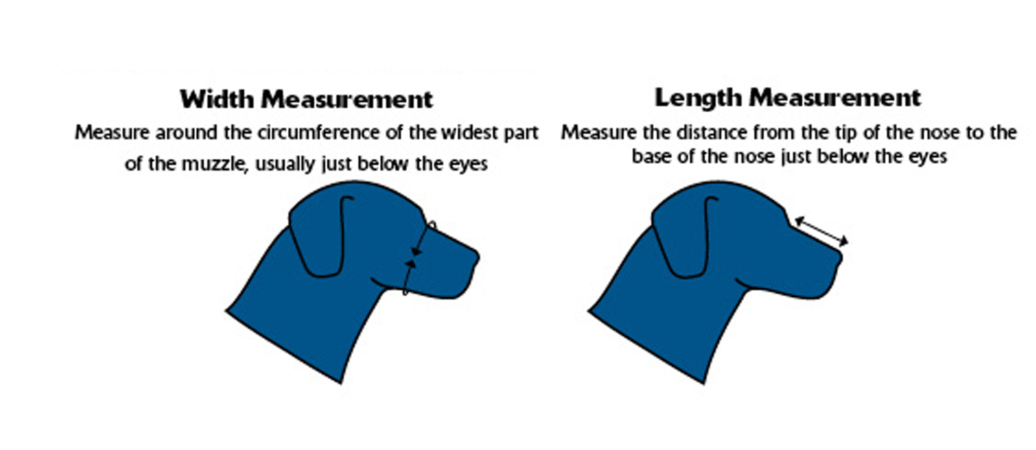 dog muzzle size chart