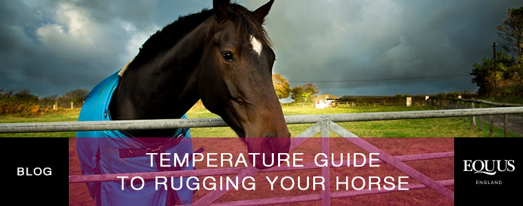 Horse Blanket Temperature Chart Fahrenheit