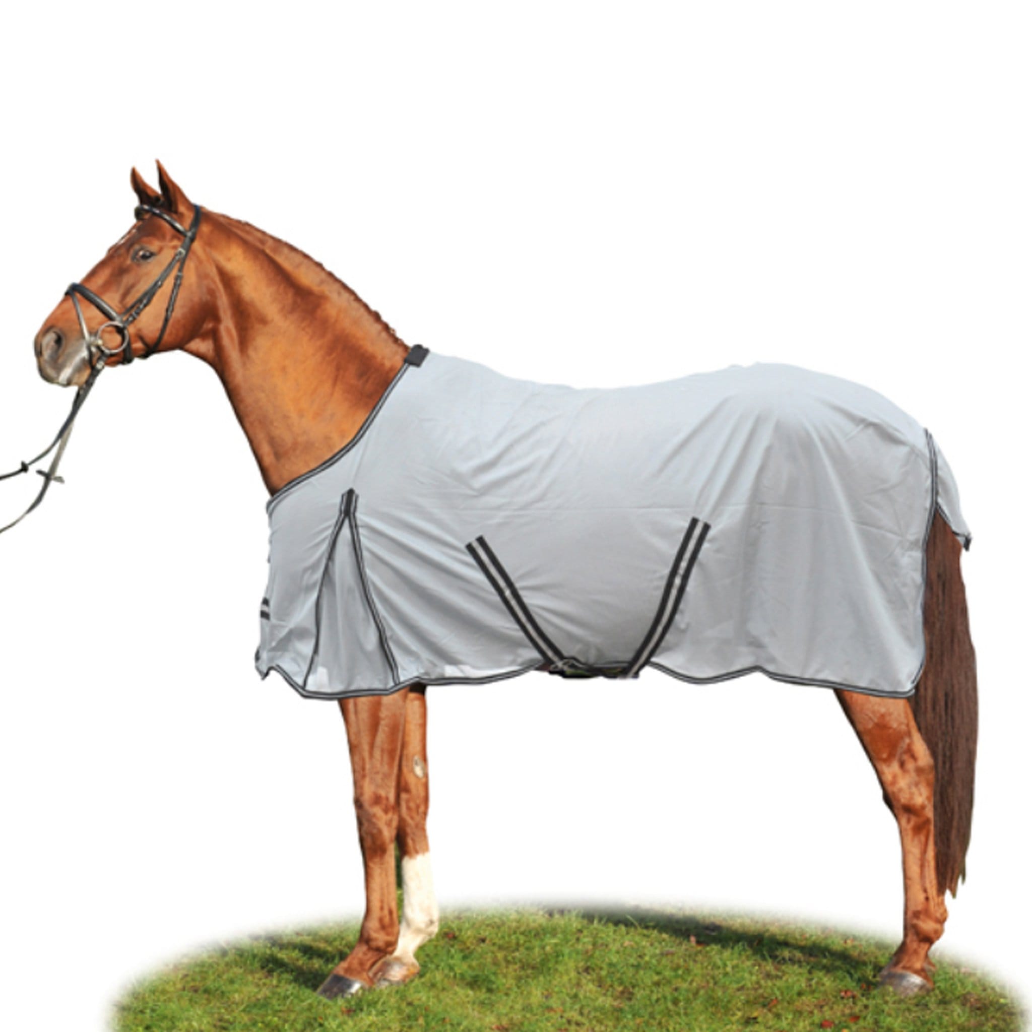 Fly Rugs – EQUUS