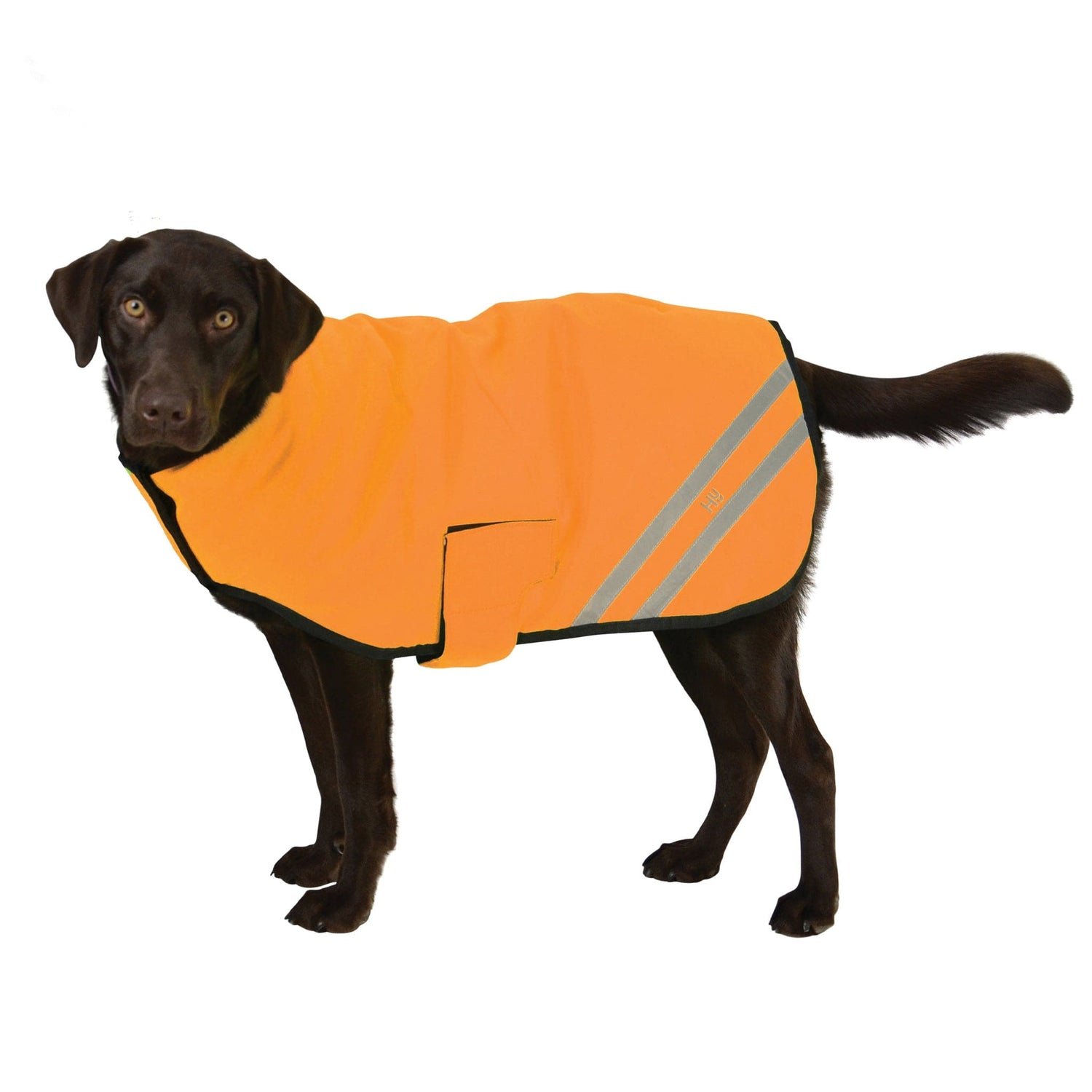 Hy Reflective Hi-Viz Waterproof Dog Coat – EQUUS