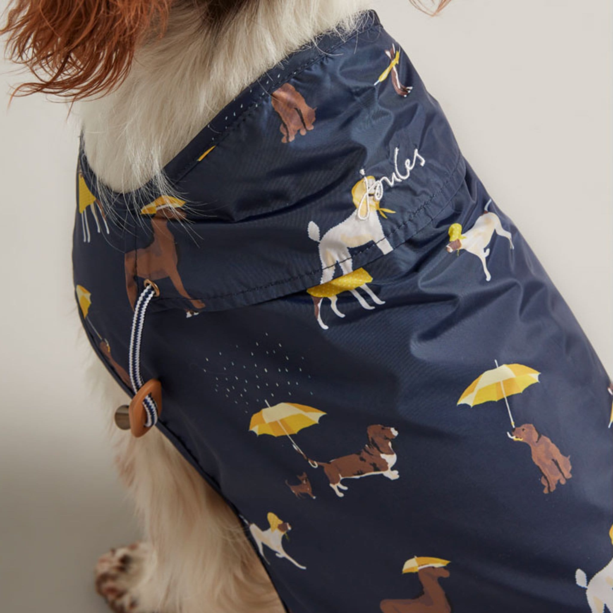 joules dog coat navy